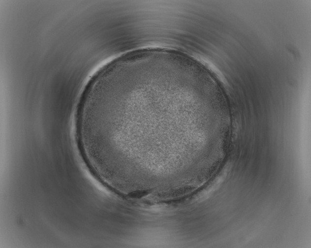 X0000114120991200910191719