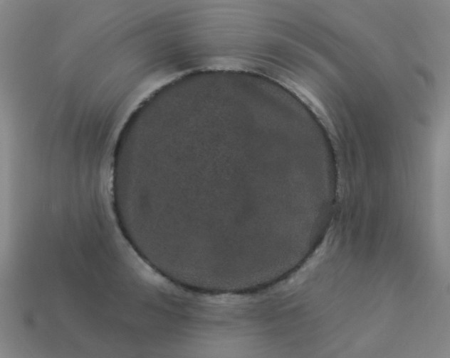 X0000114120992200910191719