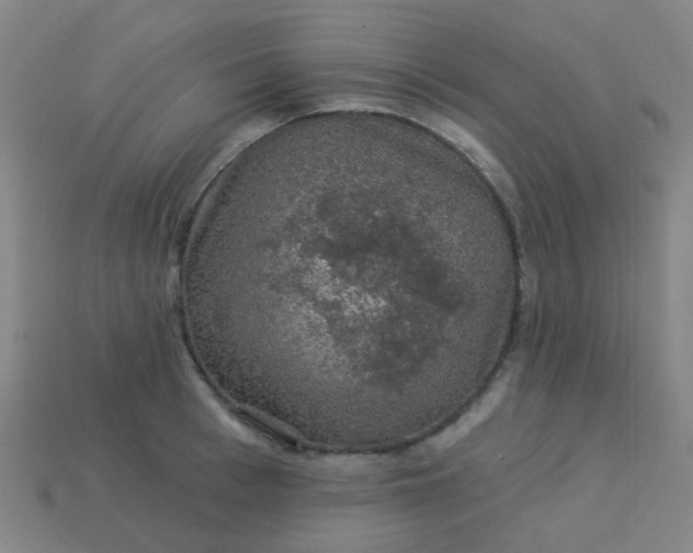 X0000114120993200910191719