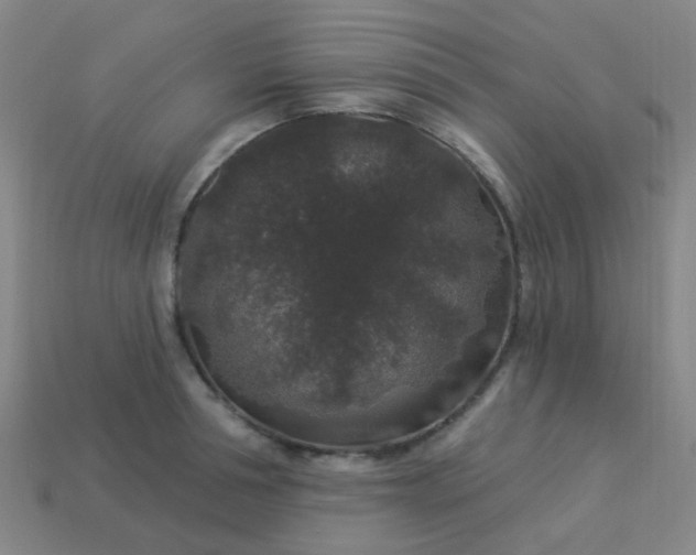 X0000114120994200910191719