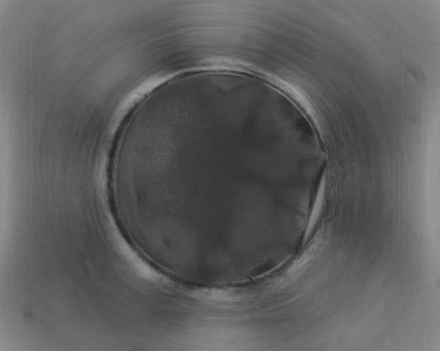 X0000114120995200910191719