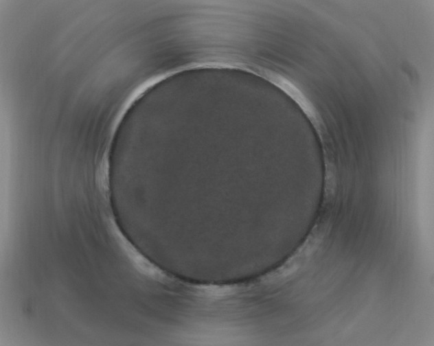 X0000114120996200910191719