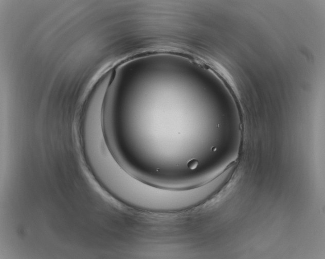 X0000114120997200910191719