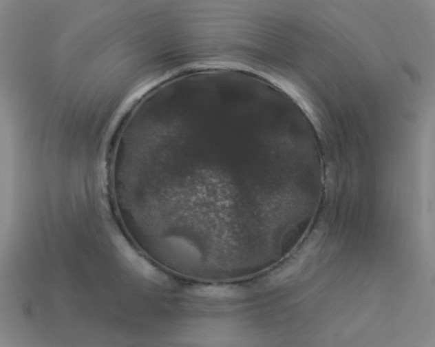 X0000114120998200910191719