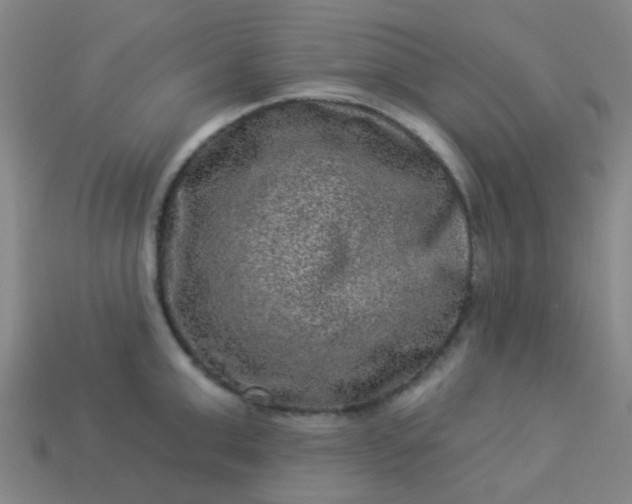 X0000114120999200910191719