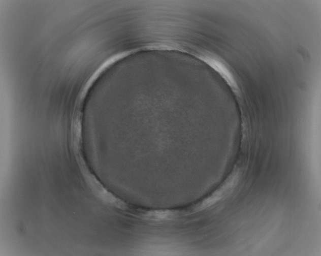 X0000114121000200910191719