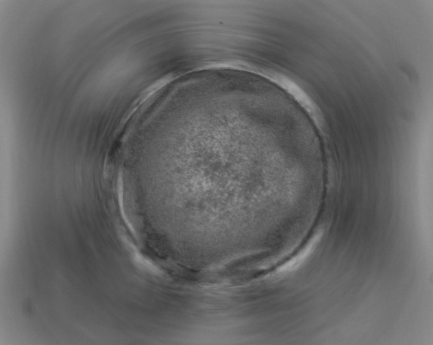 X0000114121001200910191719