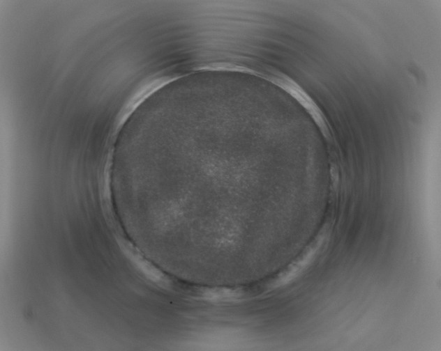 X0000114121002200910191719