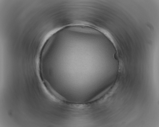 X0000114121003200910191719