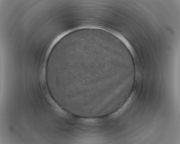 X0000114121004200910191719