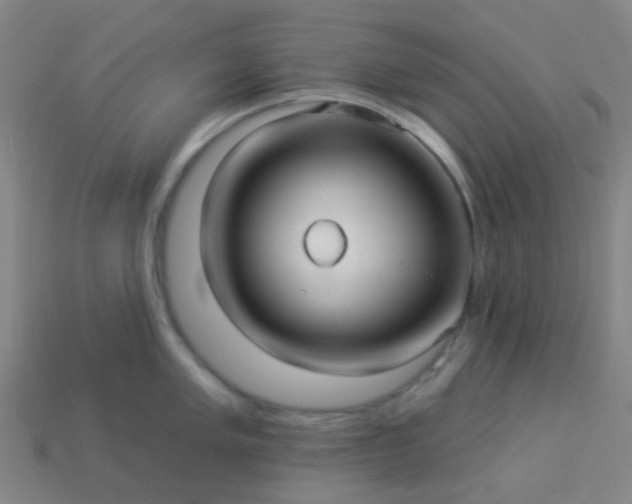 X0000114121005200910191719