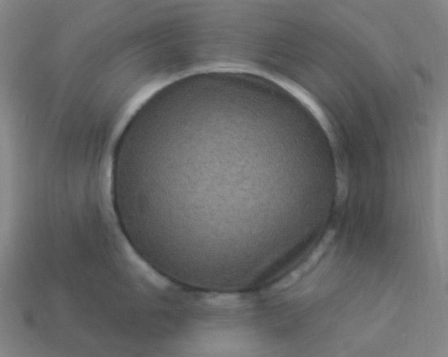 X0000114121006200910191719