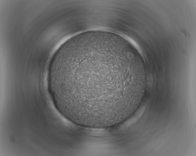 X0000114121007200910191719