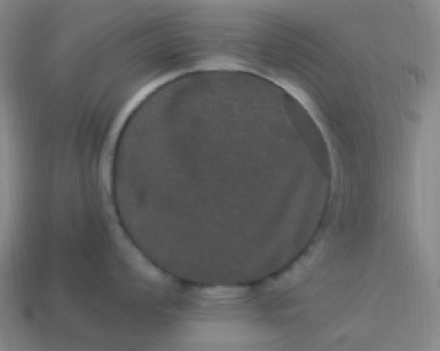 X0000114121008200910191719