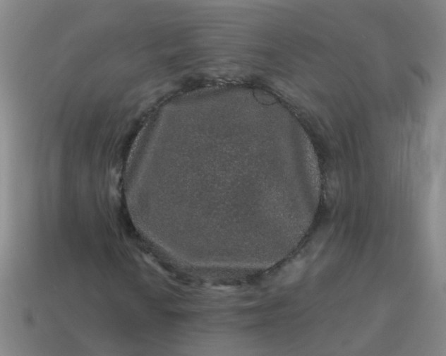 X0000114121010200910191719