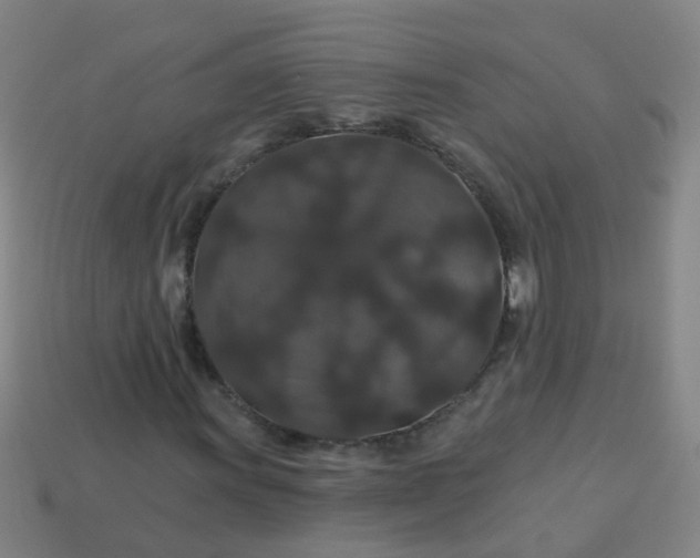 X0000114121011200910191719