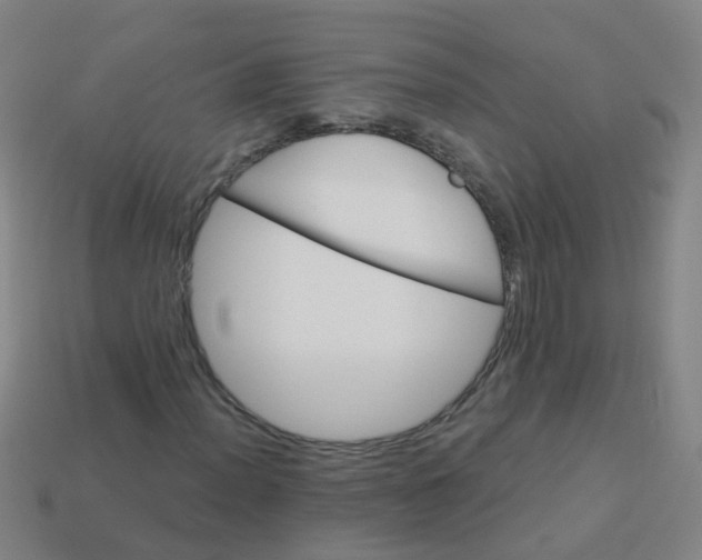 X0000114121012200910191719