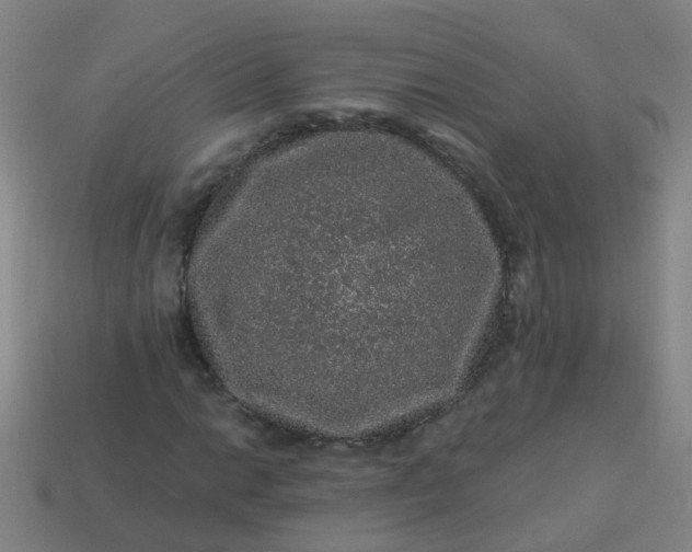 X0000114121014200910191719