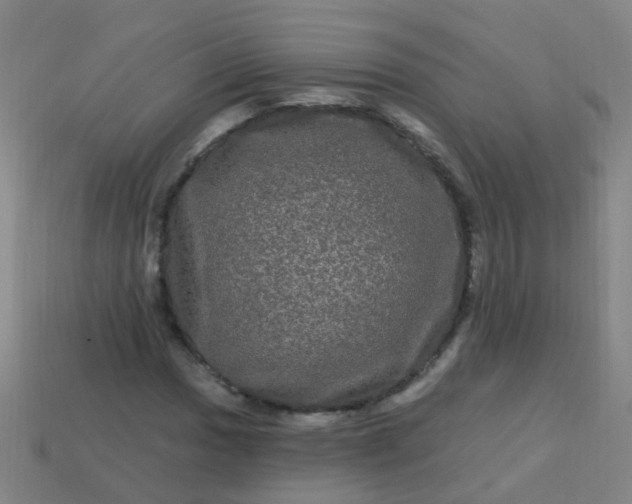 X0000114121017200910191719