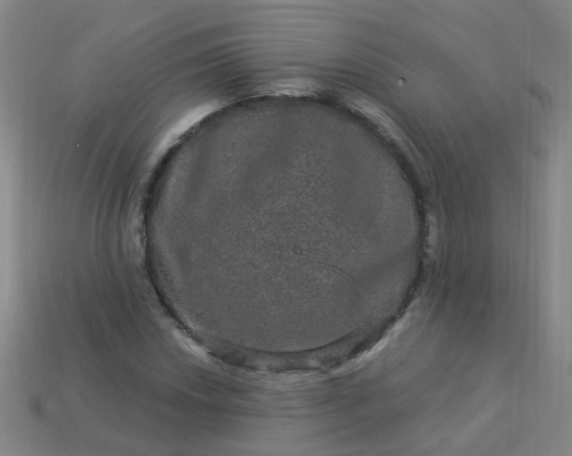 X0000114121018200910191719