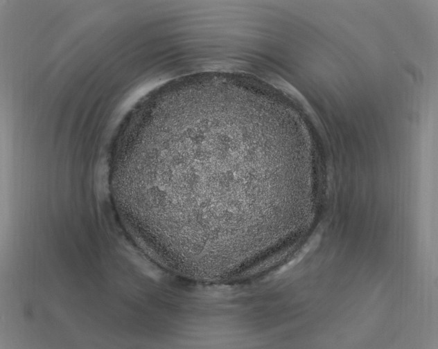 X0000114121019200910191719