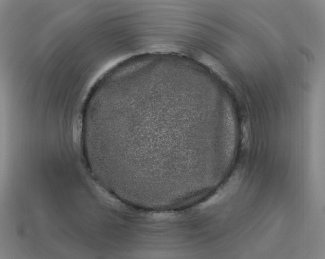 X0000114121021200910191719