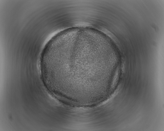 X0000114121022200910191719