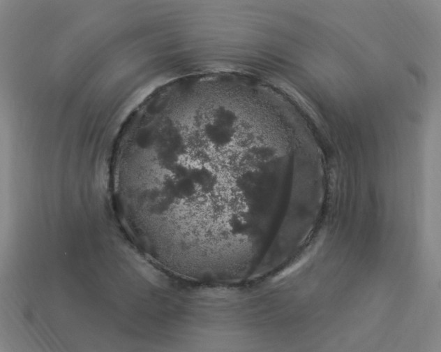 X0000114121023200910191719