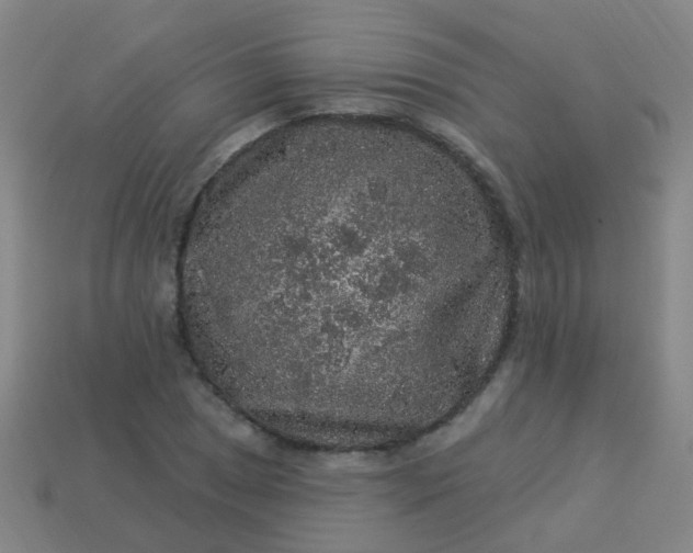 X0000114121025200910191719