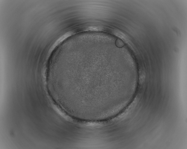 X0000114121026200910191719