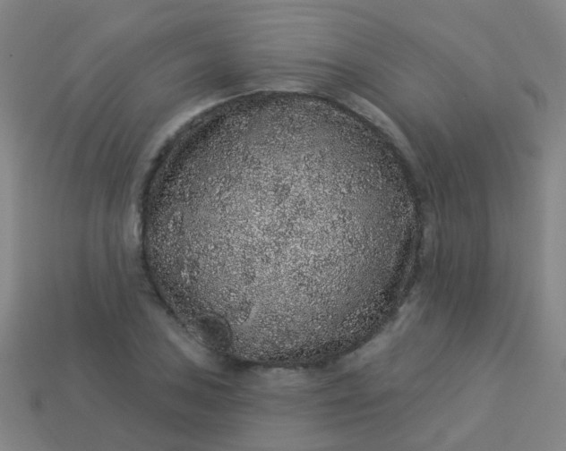 X0000114121027200910191719