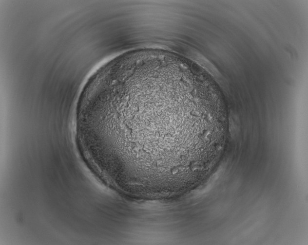 X0000114121028200910191719