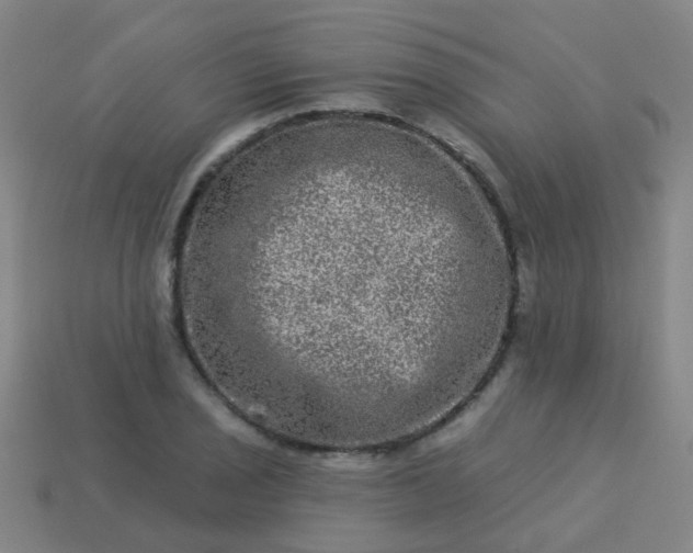 X0000114121029200910191719