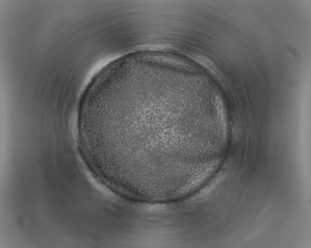 X0000114121030200910191719