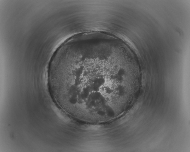 X0000114121031200910191719