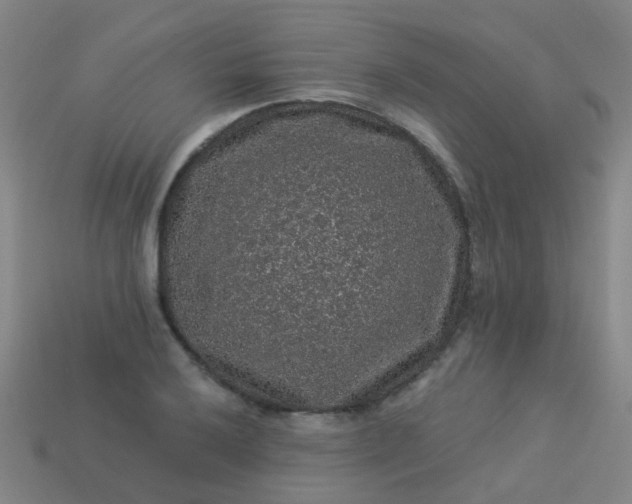 X0000114121032200910191719