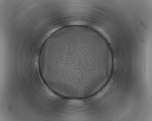 X0000114121033200910191719