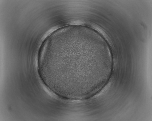 X0000114121034200910191719