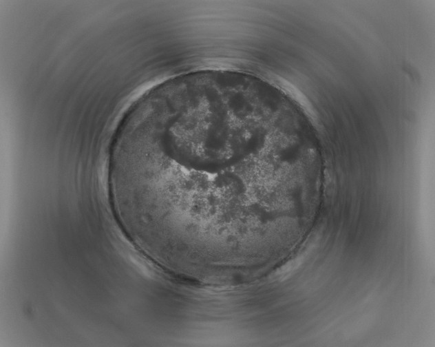 X0000114121035200910191719