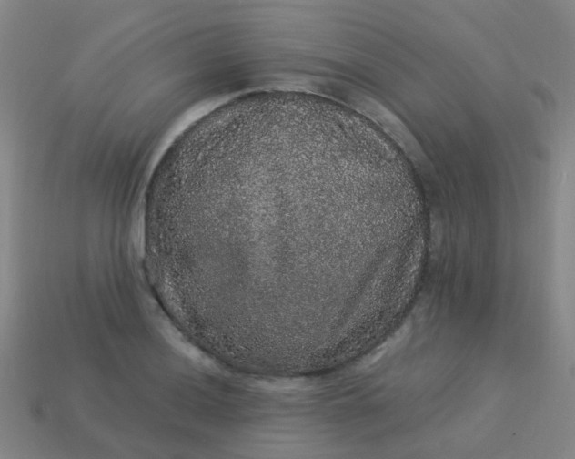 X0000114121036200910191719