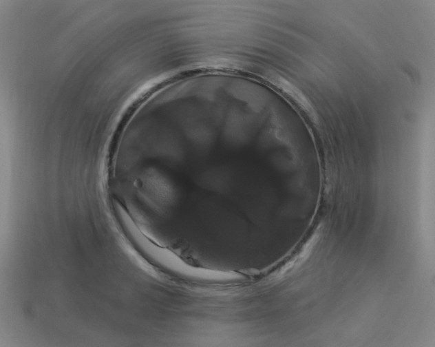 X0000114121037200910191719