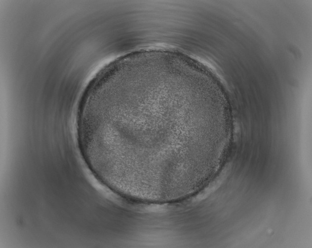 X0000114121038200910191719