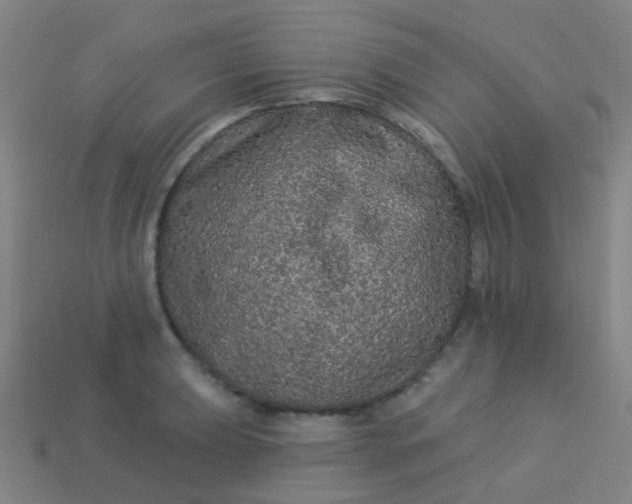 X0000114121039200910191719