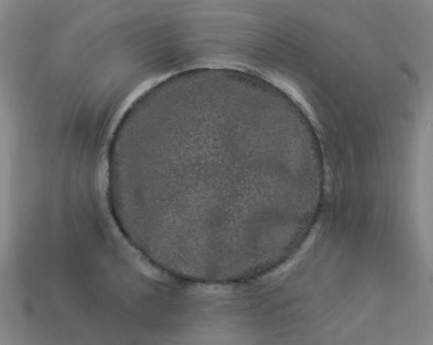 X0000114121040200910191719