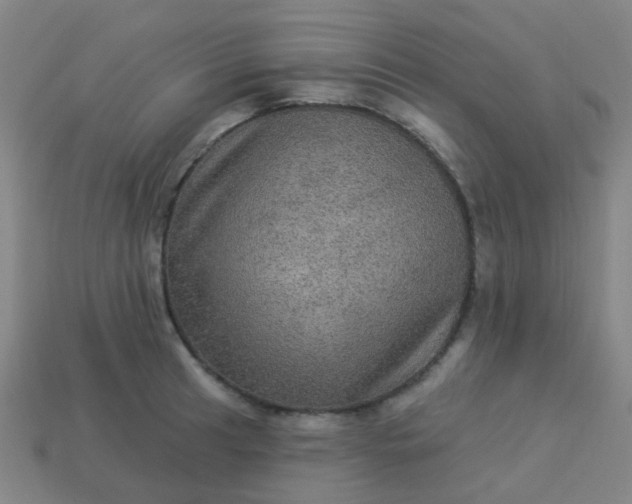 X0000114121041200910191719