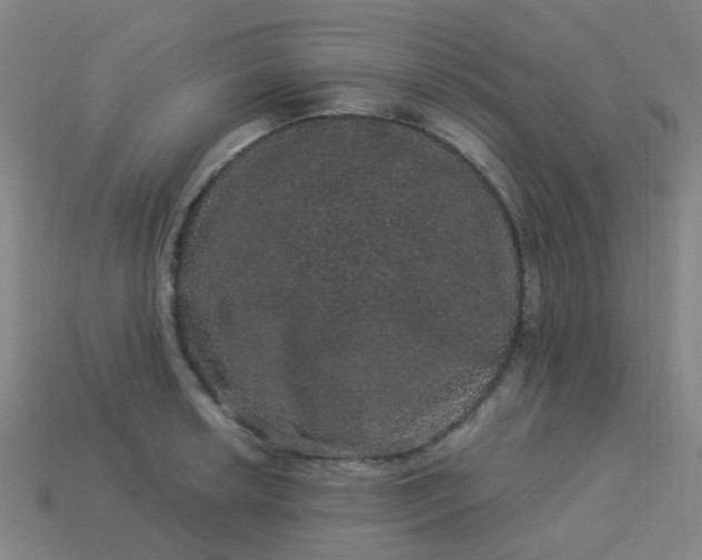 X0000114121042200910191719