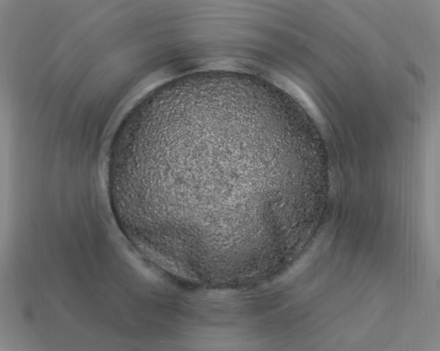 X0000114121043200910191719