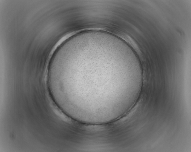 X0000114121044200910191719