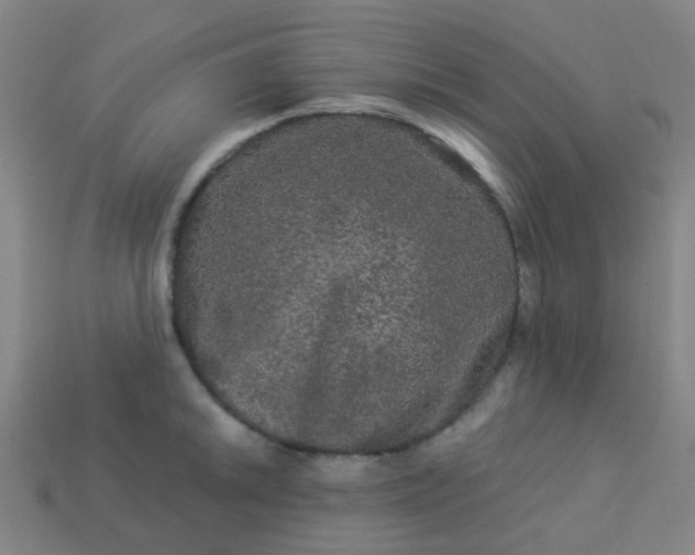 X0000114121046200910191719