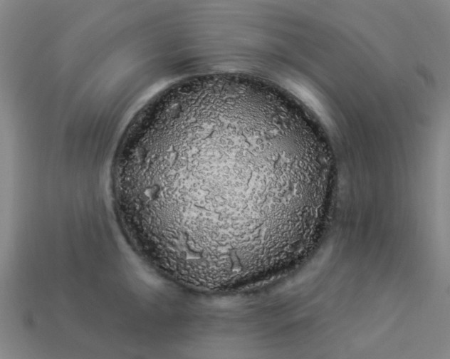 X0000114121047200910191719